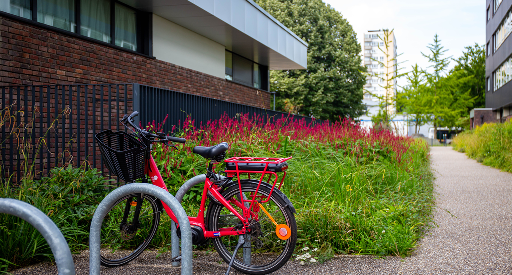 Vélo sur le campus de MSA