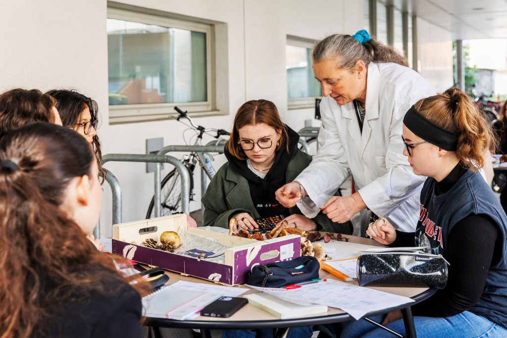 Master sciences, technologie, santé